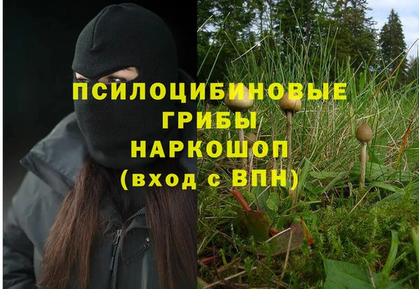 СК Баксан